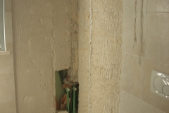 DSCN4295
