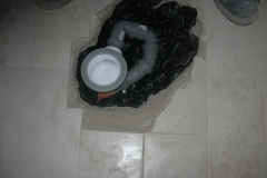 DSCN4304